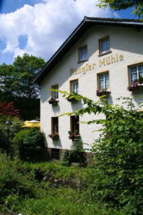 Гостиница Hotel Restaurant Rengser Mühle, Бергнойштадт